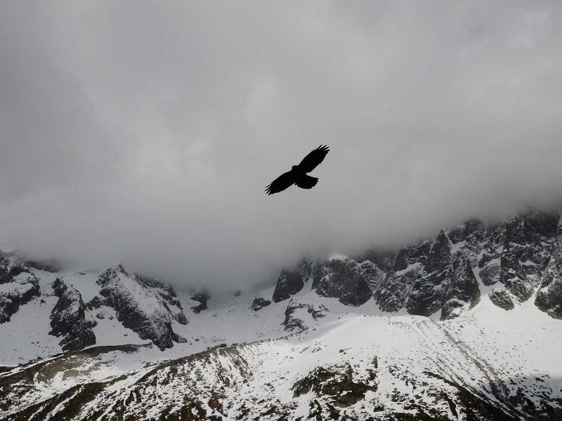元曲四大家<br>bcxjjkz.cn 窦娥六月飞雪